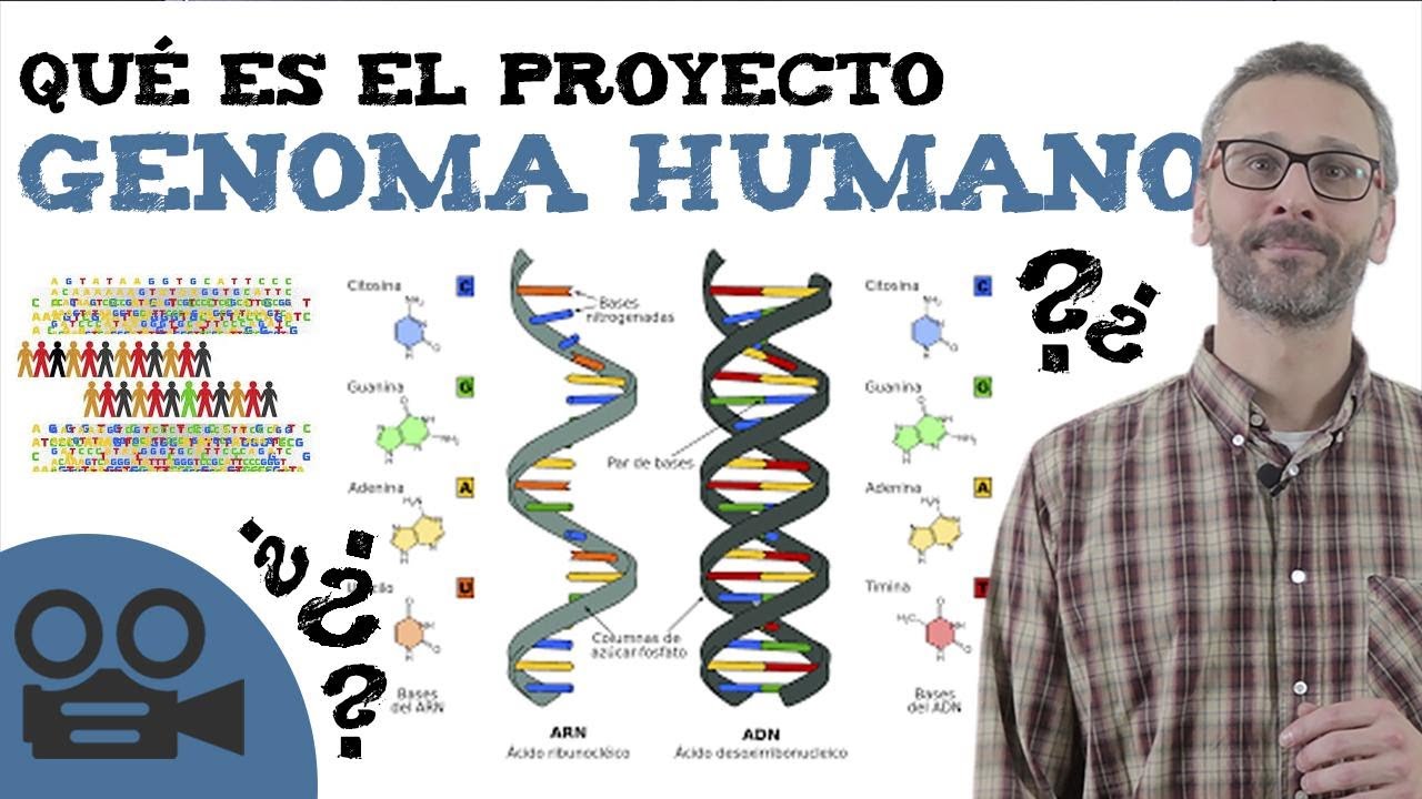 Qué es el proyecto genoma humano