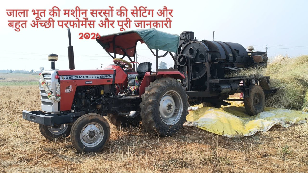 जाला भूत की मशीन सरसों की सेटिंग और बहुत अच्छी परफोर्मेंस और पूरी जानकारी 2026 ।#masseyferguson