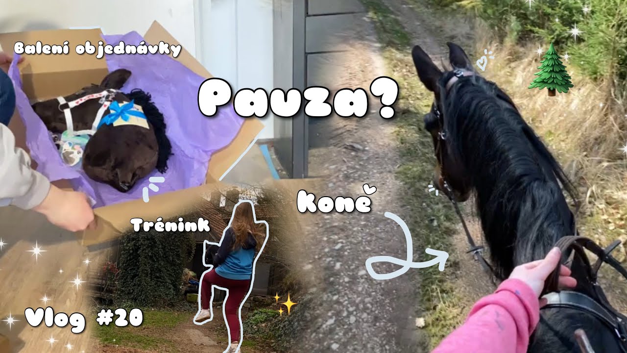 Pauza? Jak to teď bude? Koně, trénink #20