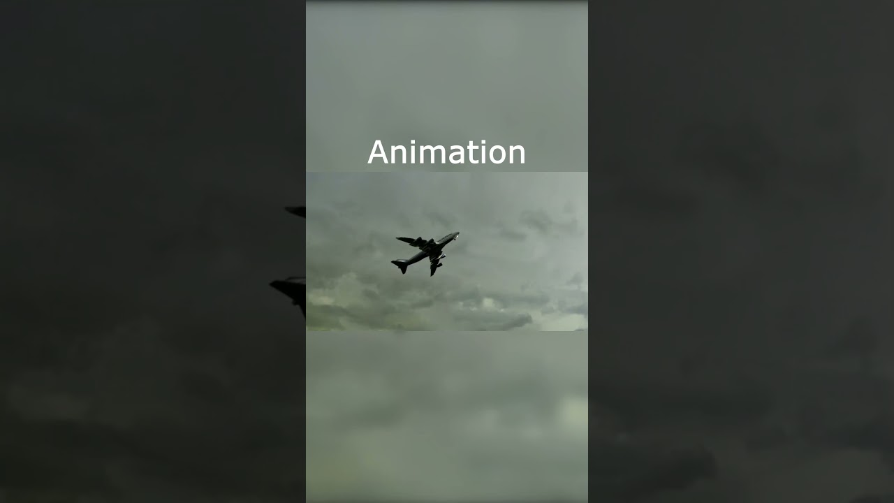 Animation vs Real Life - National Airlines Flight 102 #planecrash