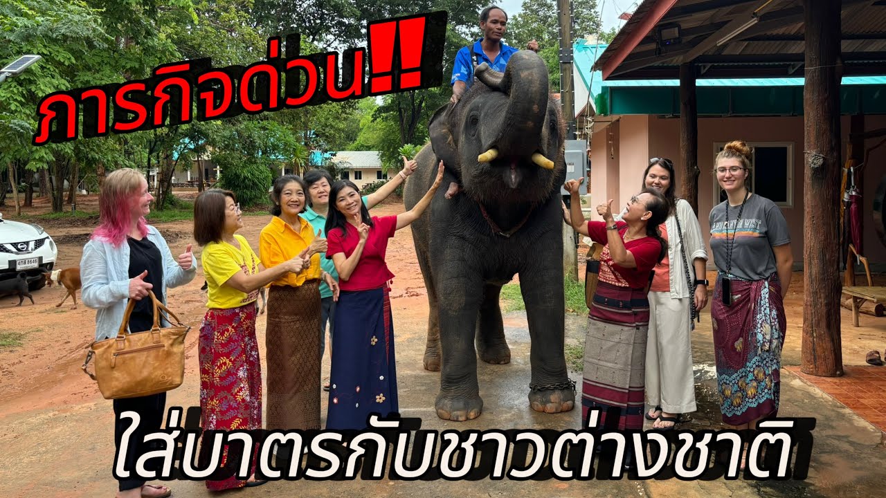 ภารกิจด่วน‼️ใส่บาตรกับชาวต่างชาติ🙏🏻🥰