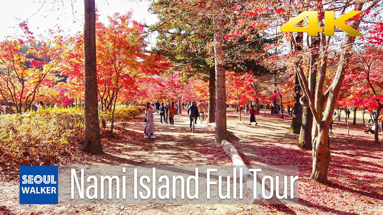 [4K] Welcome to Nami Island | Full Tour | Walking Around Seoul Korea 남이섬의 가을 南怡島