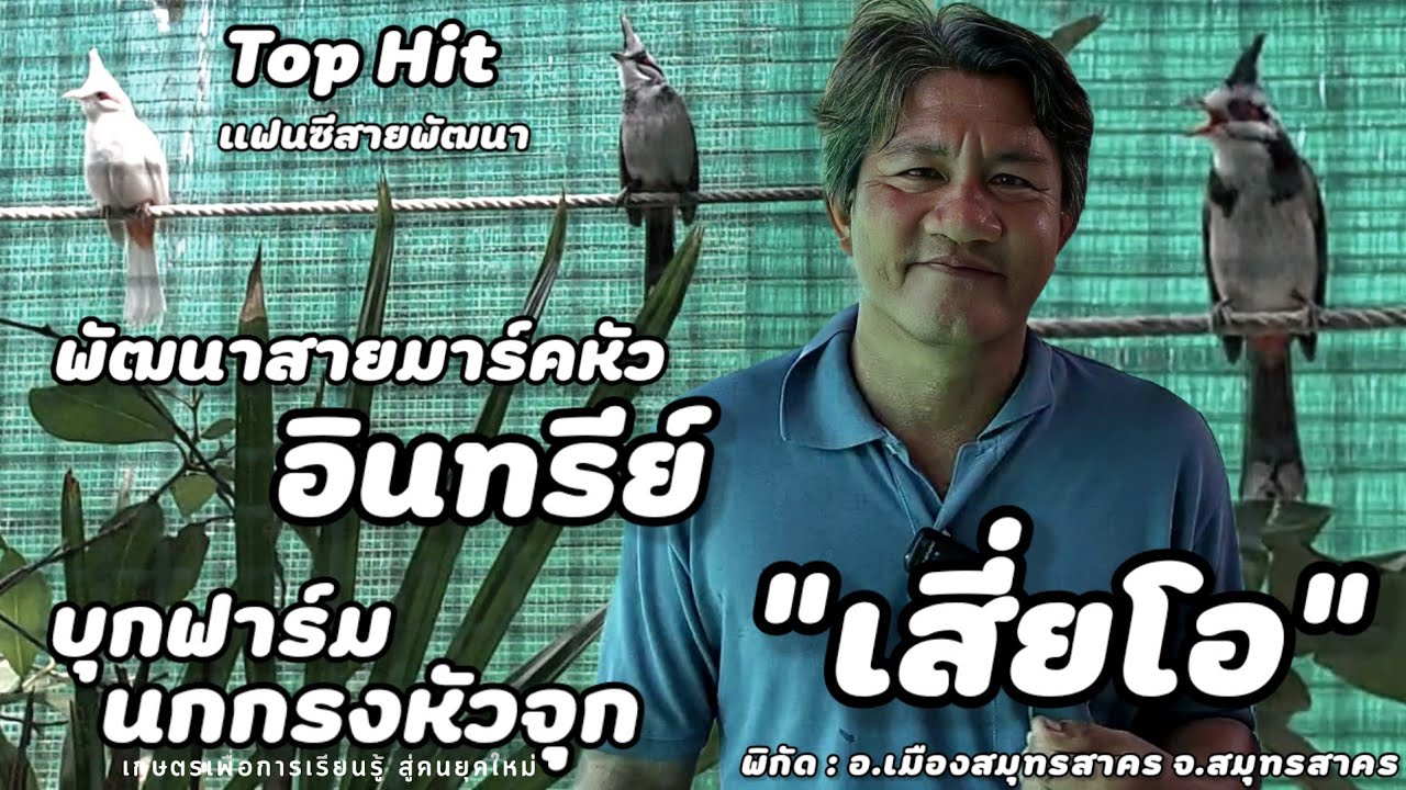 บุกฟาร์ม | นกกรงหัวจุกแฟนซี สายพัฒนา(เสี่ยโอ)ให้ความรู้ในการจับคู่ผสม ผสมแบบไหน ได้แบบไหน