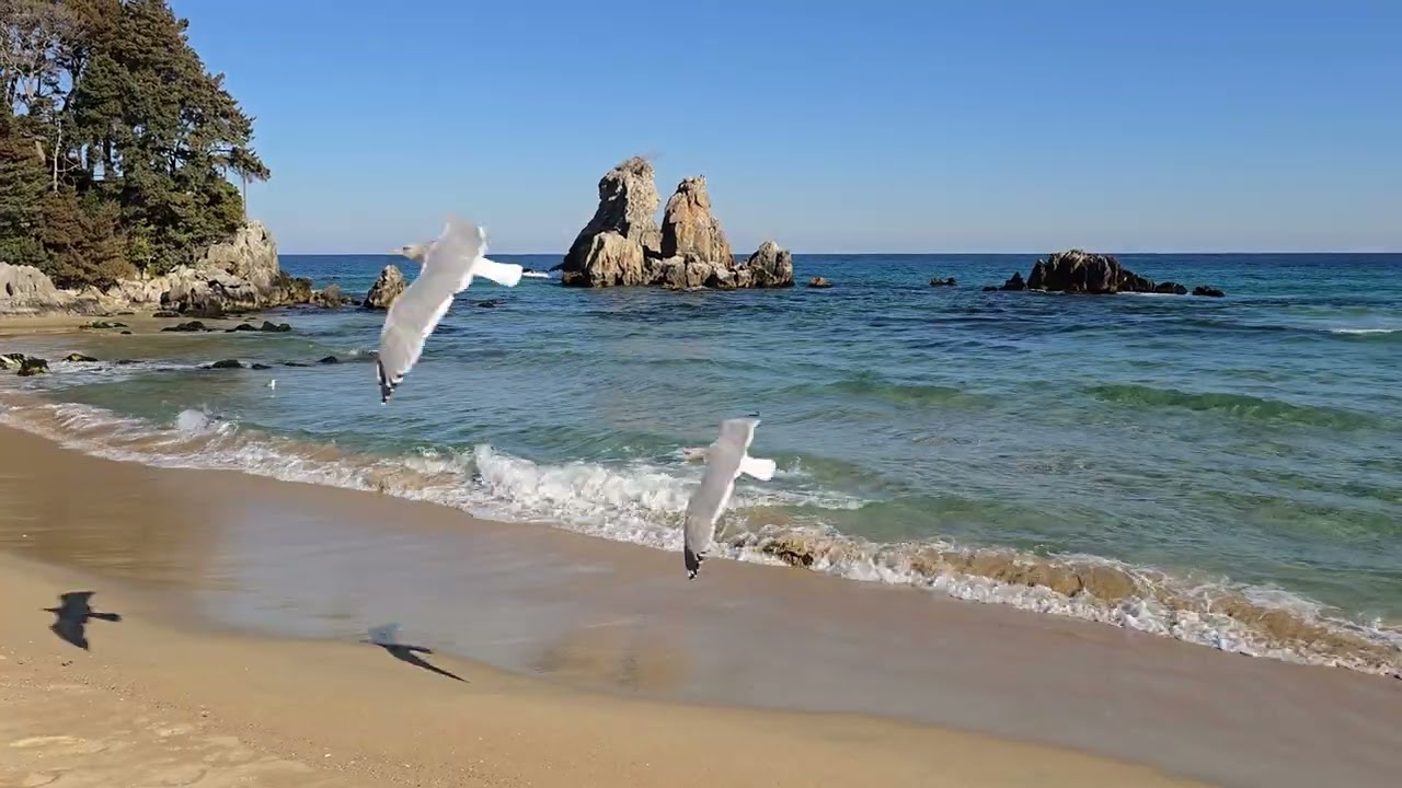 바다거닐기 2026.1.6 추암해변
