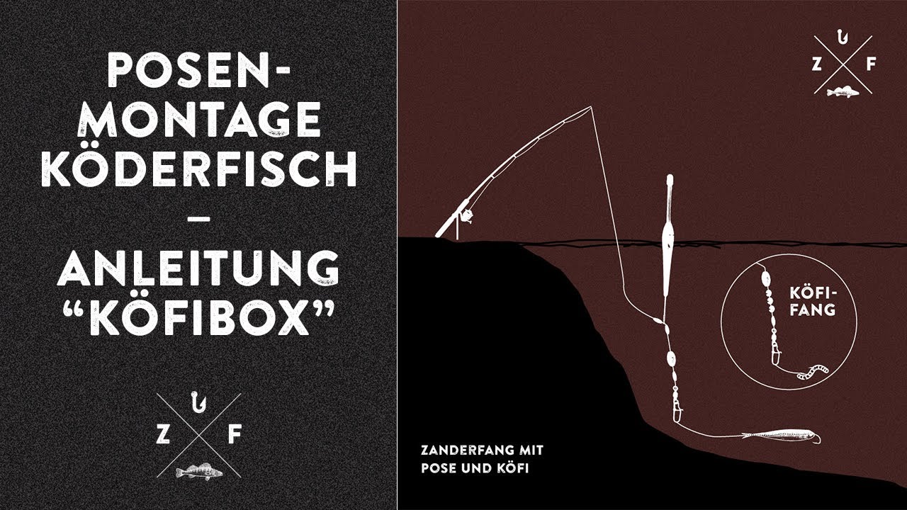 Mit Pose und Köderfisch auf Zander angeln - Montage-Anleitung zur KÖFIBOX von ZANDERFANG