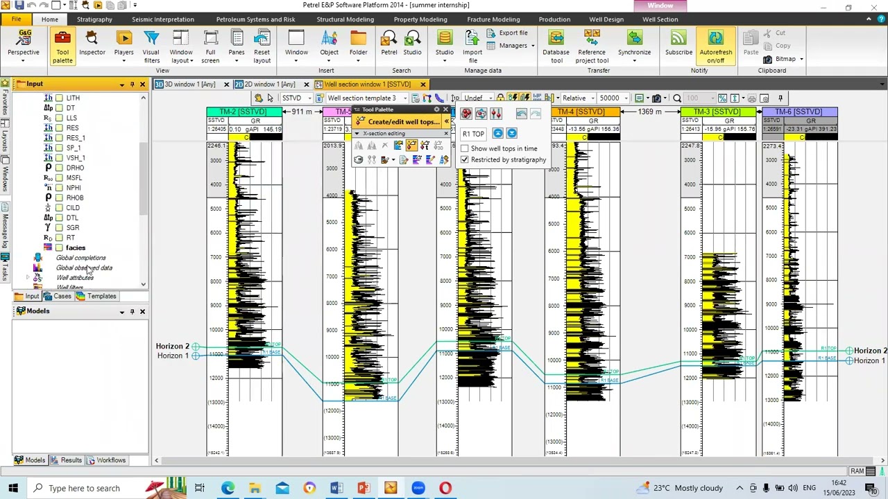 Well Log correlation with petrel