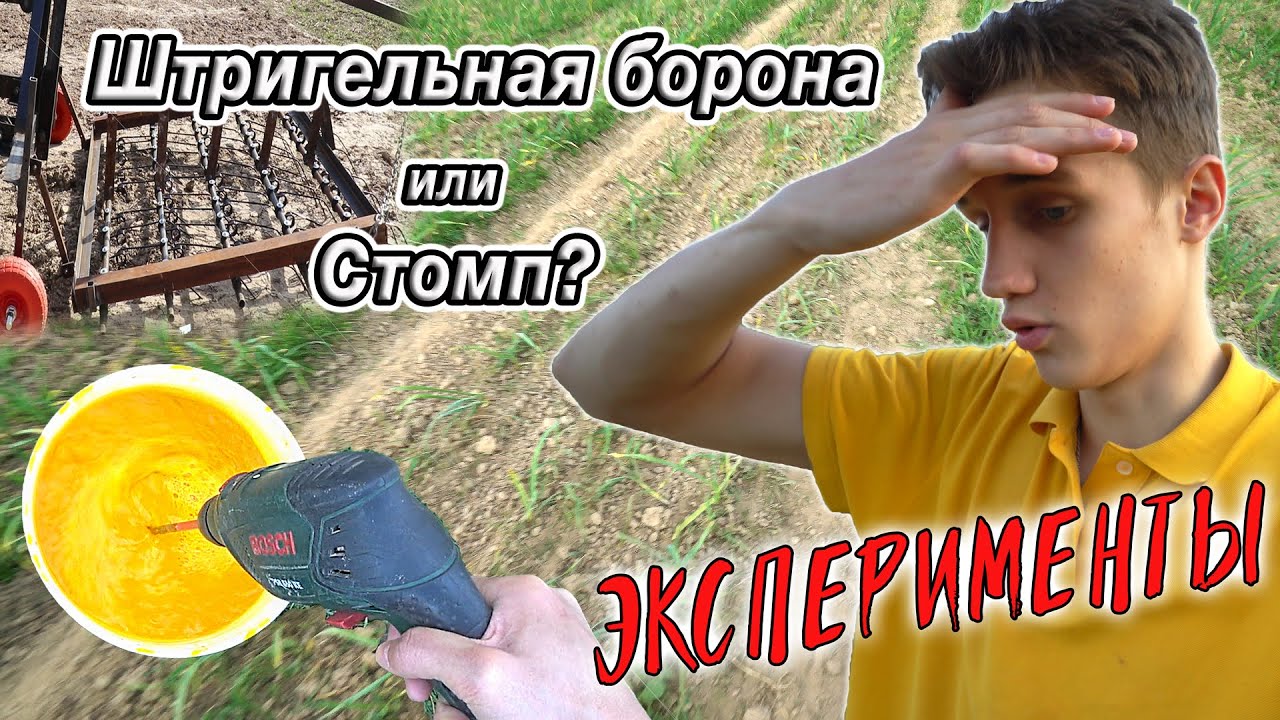 Борьба с СОРНЯКАМИ в чесноке