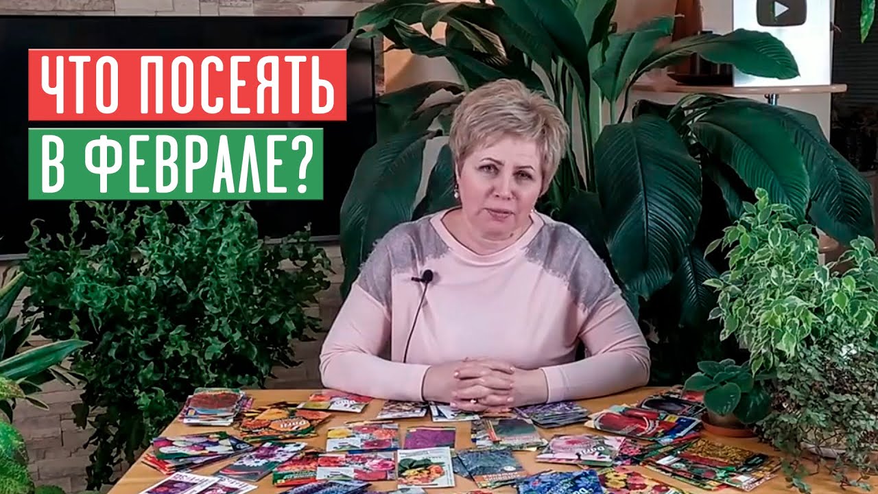 СЕЗОН 2020: ЧТО ПОСЕЯТЬ В ФЕВРАЛЕ: цветы, овощи, ягоды УСЛОВИЯ РОЗЫГРЫША / Садовый гид