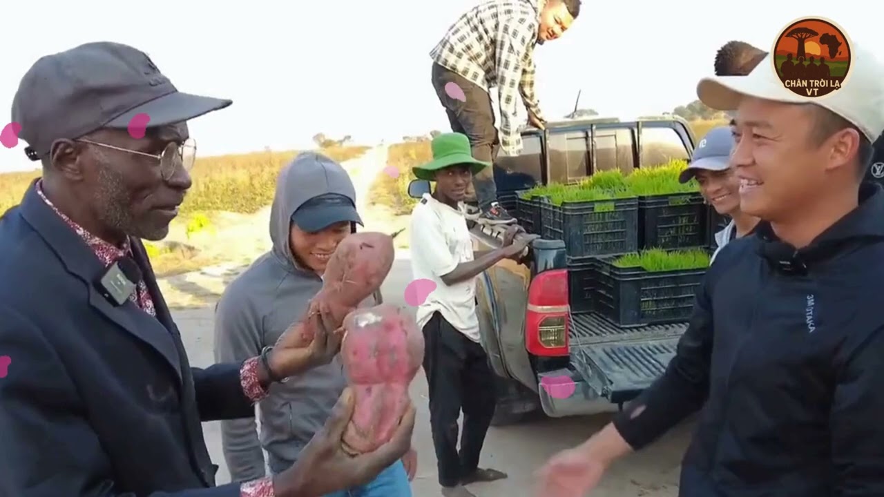 Bài Hát Nghe Mà Thắt Lòng | Một Người Đi Xa – Một Người Chờ | Tình Yêu Chàng Trai Việt Giữa Trời Phi