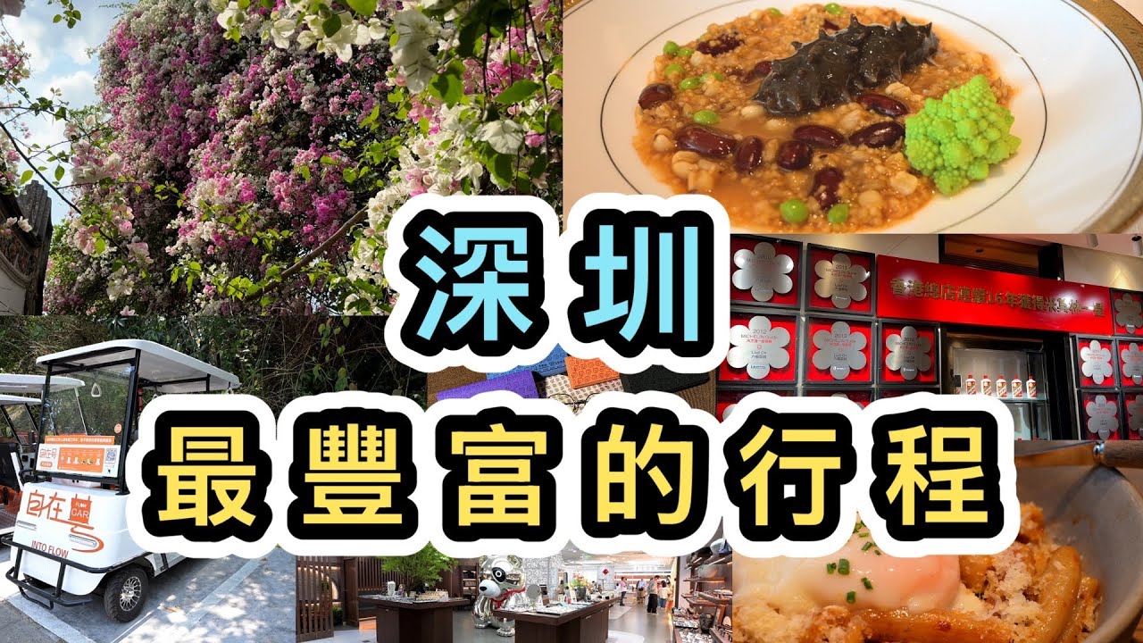 【深圳好去處】😱西貢16年米芝蓮六福菜館反攻深圳‼️實測福田租電動車👀艾斯眼鏡大割價‼️ 草根貓聯乘艾斯眼鏡推出限量版周邊😎從未有江西菜餐廳胡恰｜深圳美食｜深圳國際園林花卉博覽園｜深圳一天遊