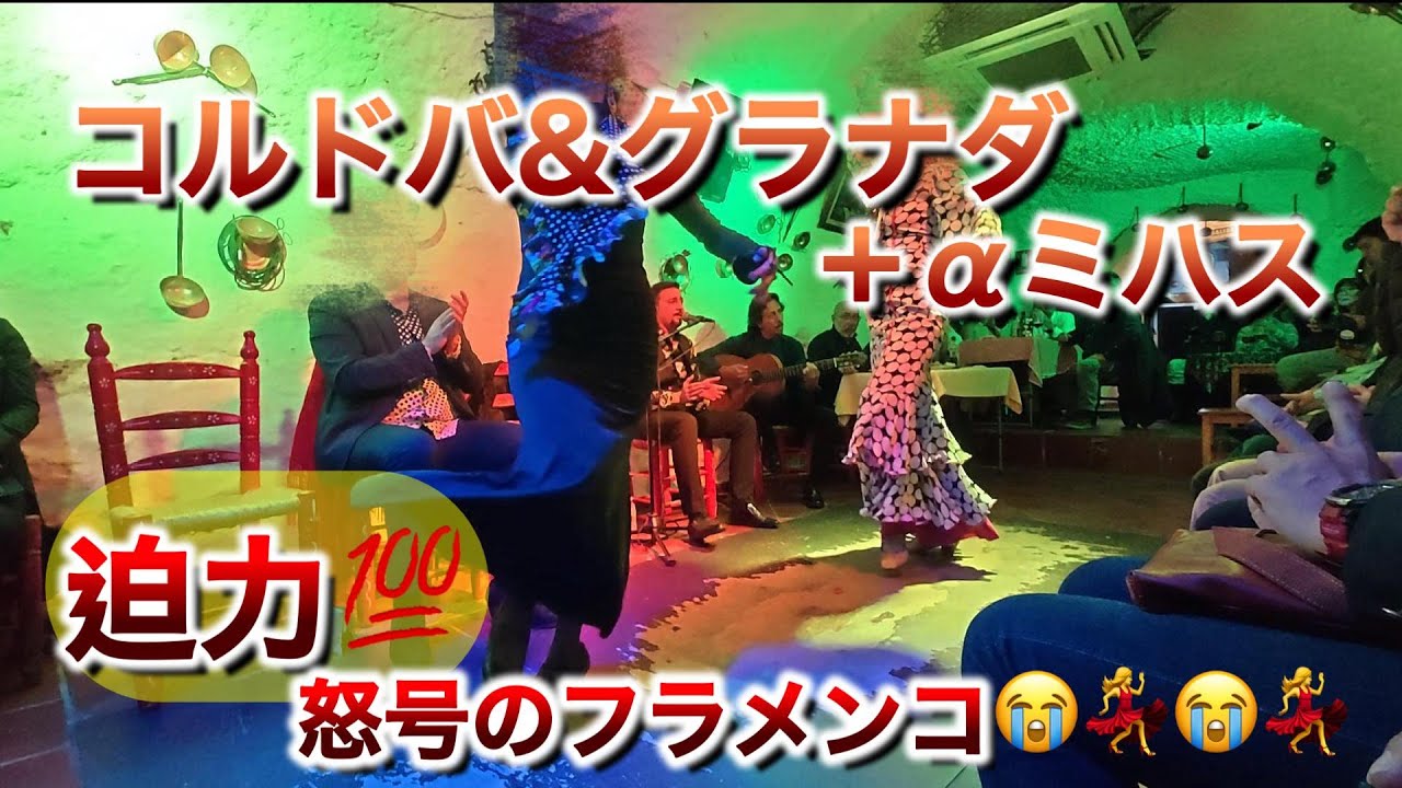 スペイン② コルドバ ミハス グラナダ 怒号のフラミンゴ 入れなかったアルハンブラ....【家族旅 vlog】
