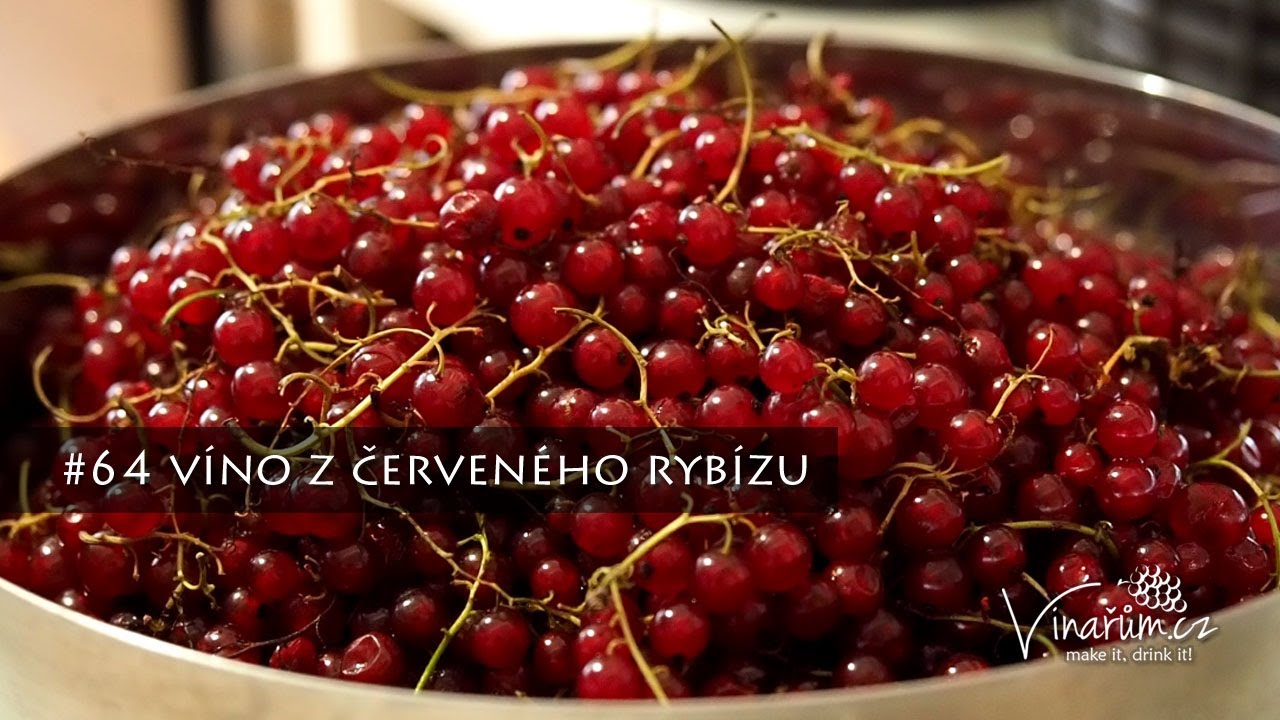 Recept na domácí víno z červeného rybízu: Jak na tuhle zahradní klasiku?