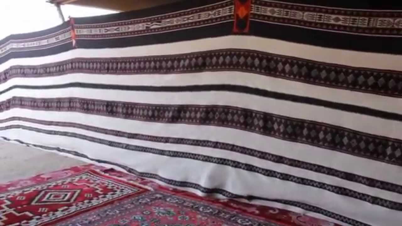 بيت الشعر محمد الجريش ابوفيصل