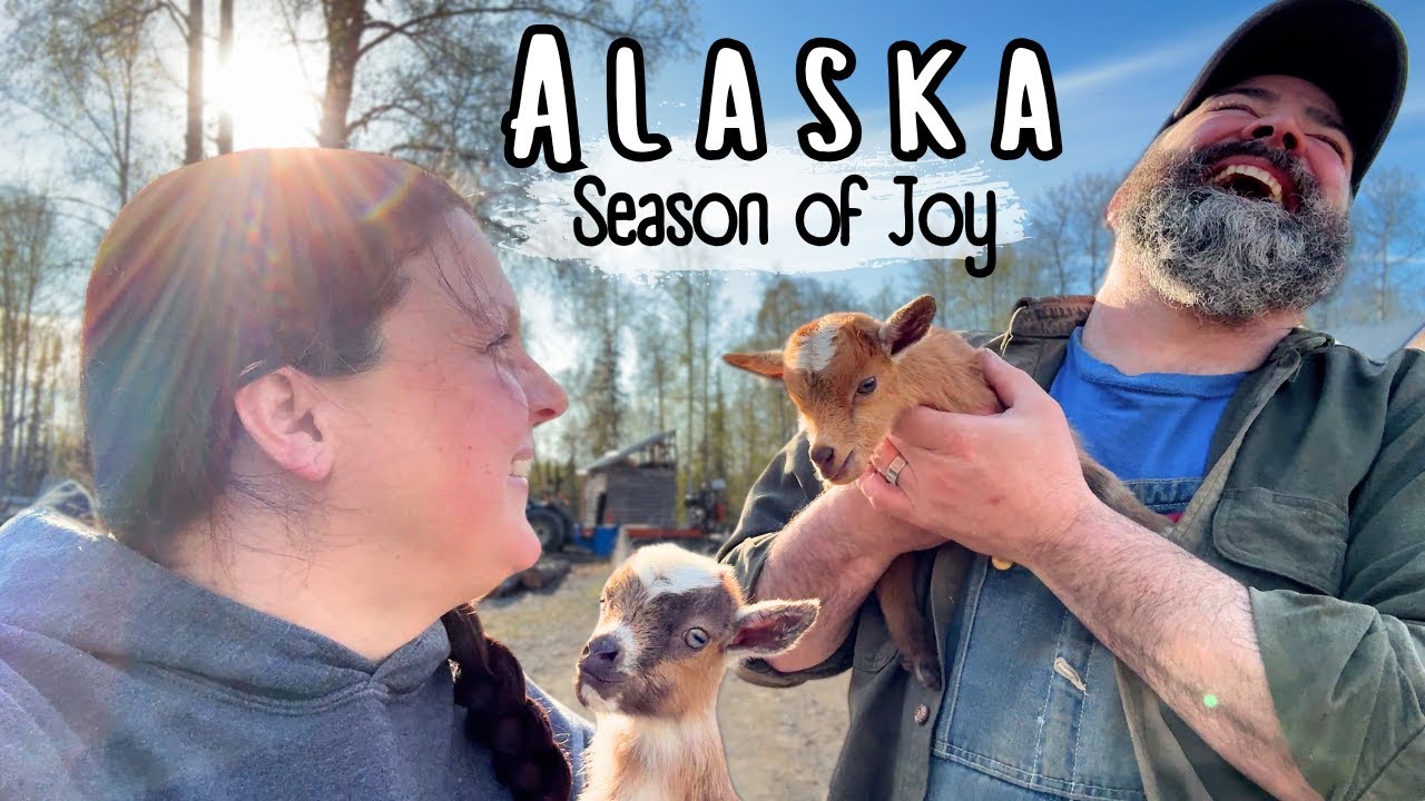 Spring in Alaska - Very Welcome (but very messy) Change After the Long Cold Winter