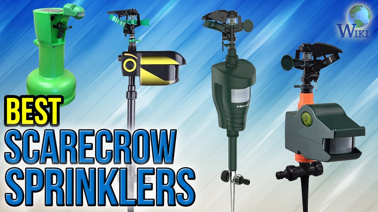 7 Best Scarecrow Sprinklers 2017