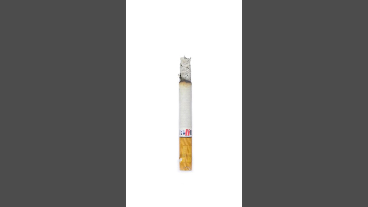 Decay of a Cigarette (Pall Mall, 2025)