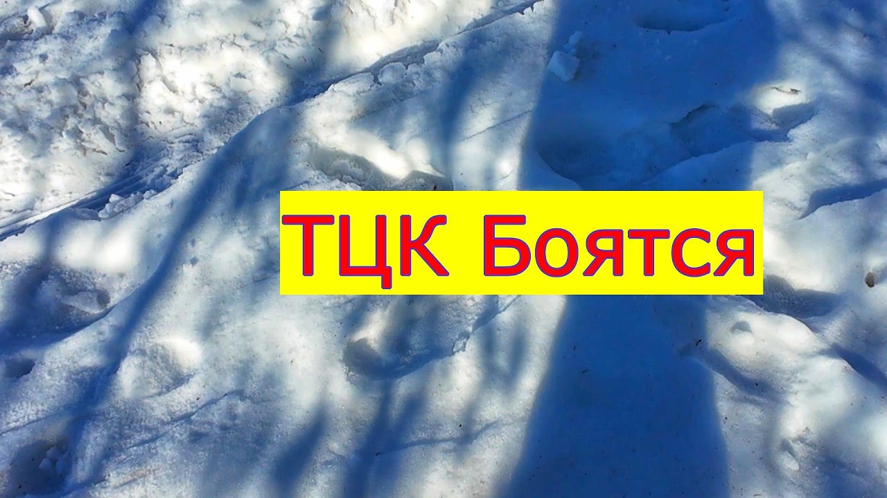 ТЦК МЕНЯ БОЯТСЯ,,,,