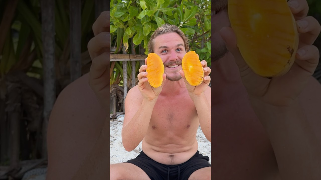 The Best Mango In The World?