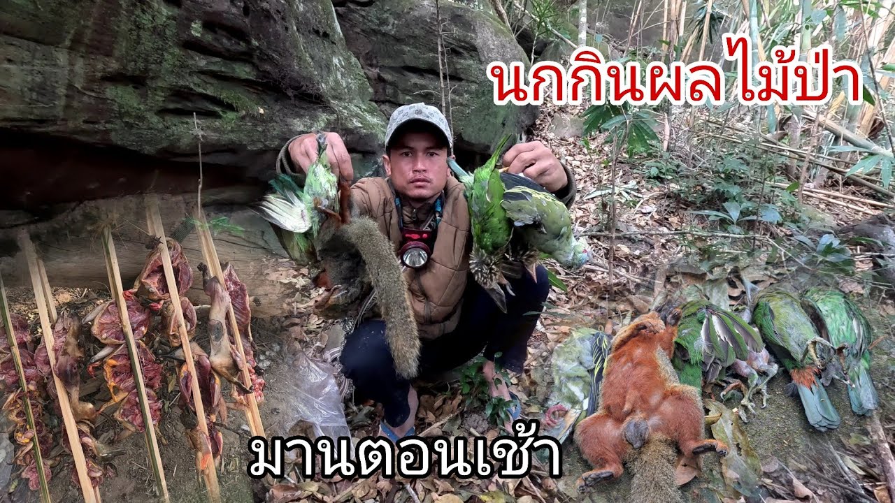 มานๆ