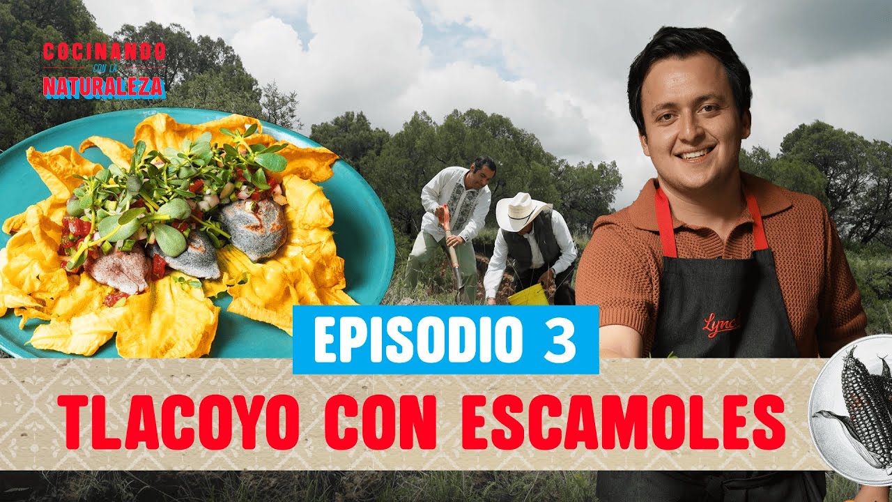 Cocinando con la Naturaleza con Calixto Serna | Tlacoyo con Escamoles y Queso de Cabra Lyncott