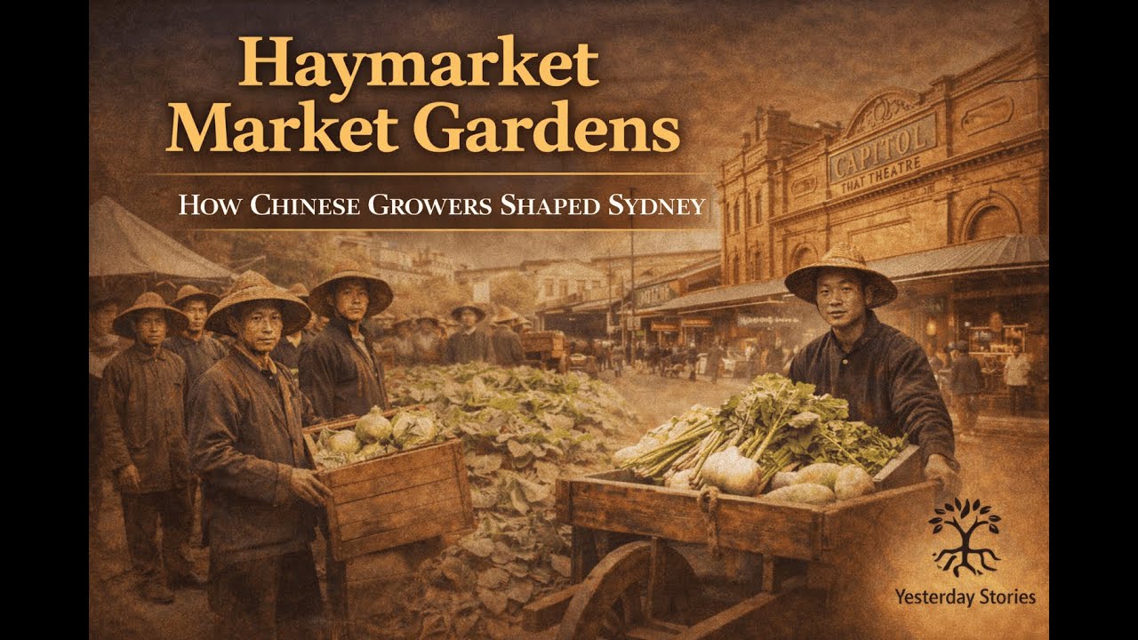 Haymarket Market Gardens | How Chinese Growers Shaped Sydney | Yesterday Stories