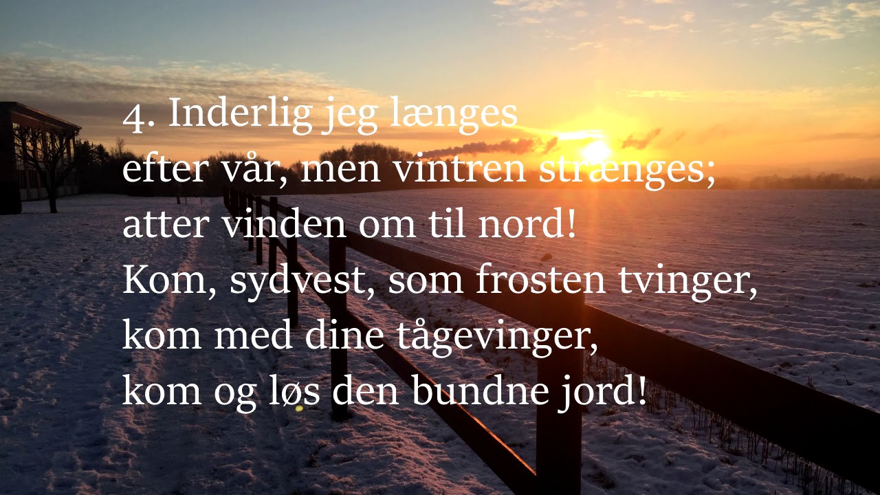Det er hvidt herude