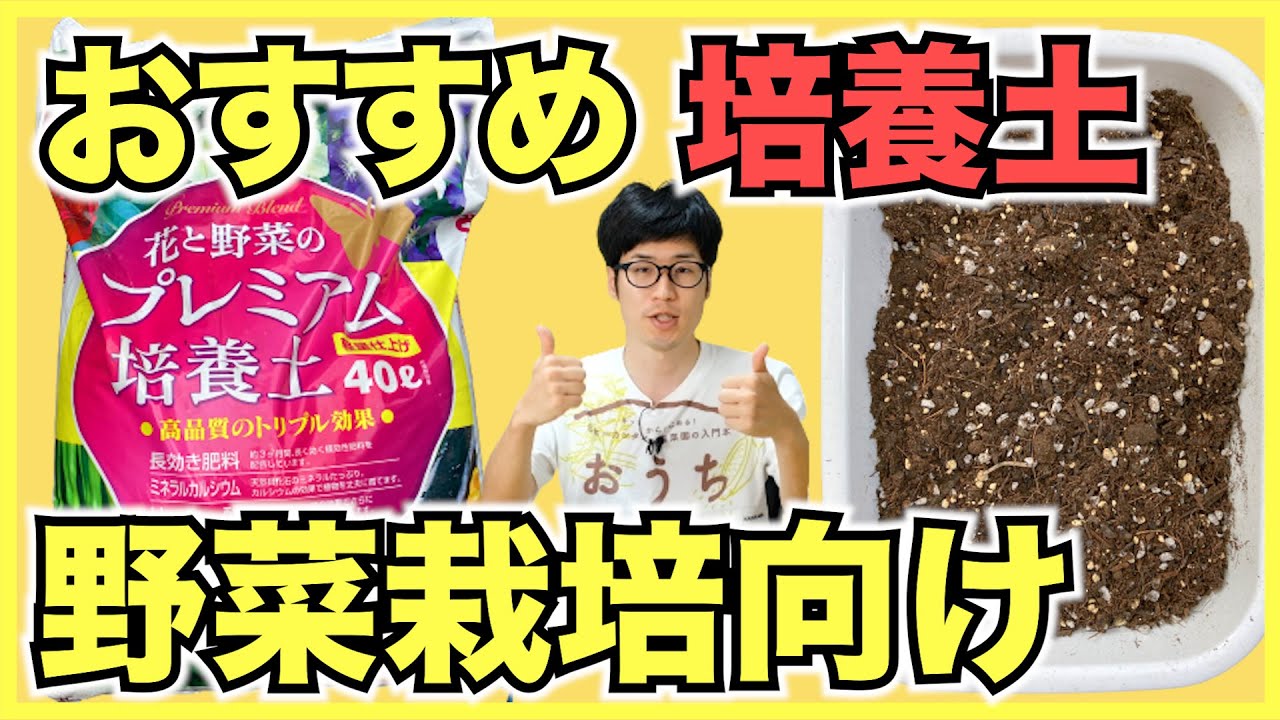 【培養土】宮崎が好きな材料が全部入ったプレミアム培養土は野菜栽培に失敗したくない人におすすめ【手作りより楽】