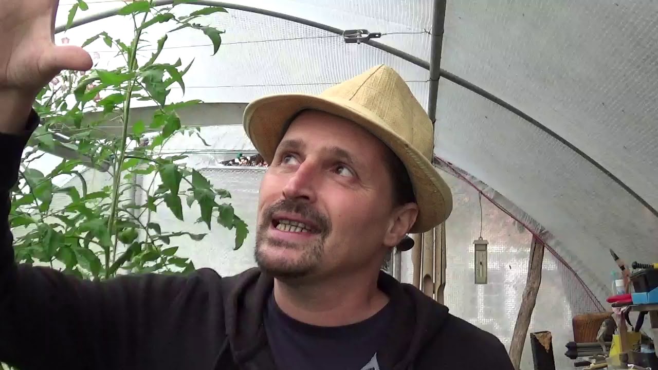 Ballade au jardin avec la journaliste #Permaculture