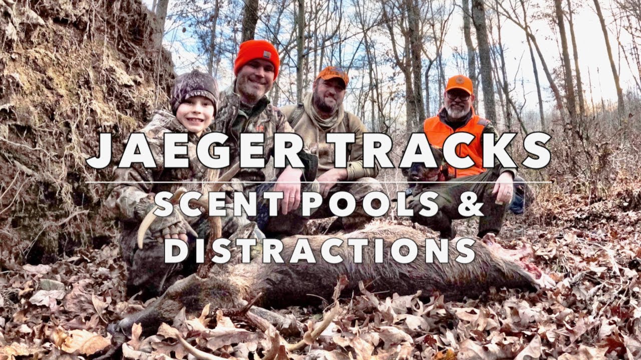 JAEGER TRACKS: Scent Pools and Distractions. How to Recognize and Work Through Them.