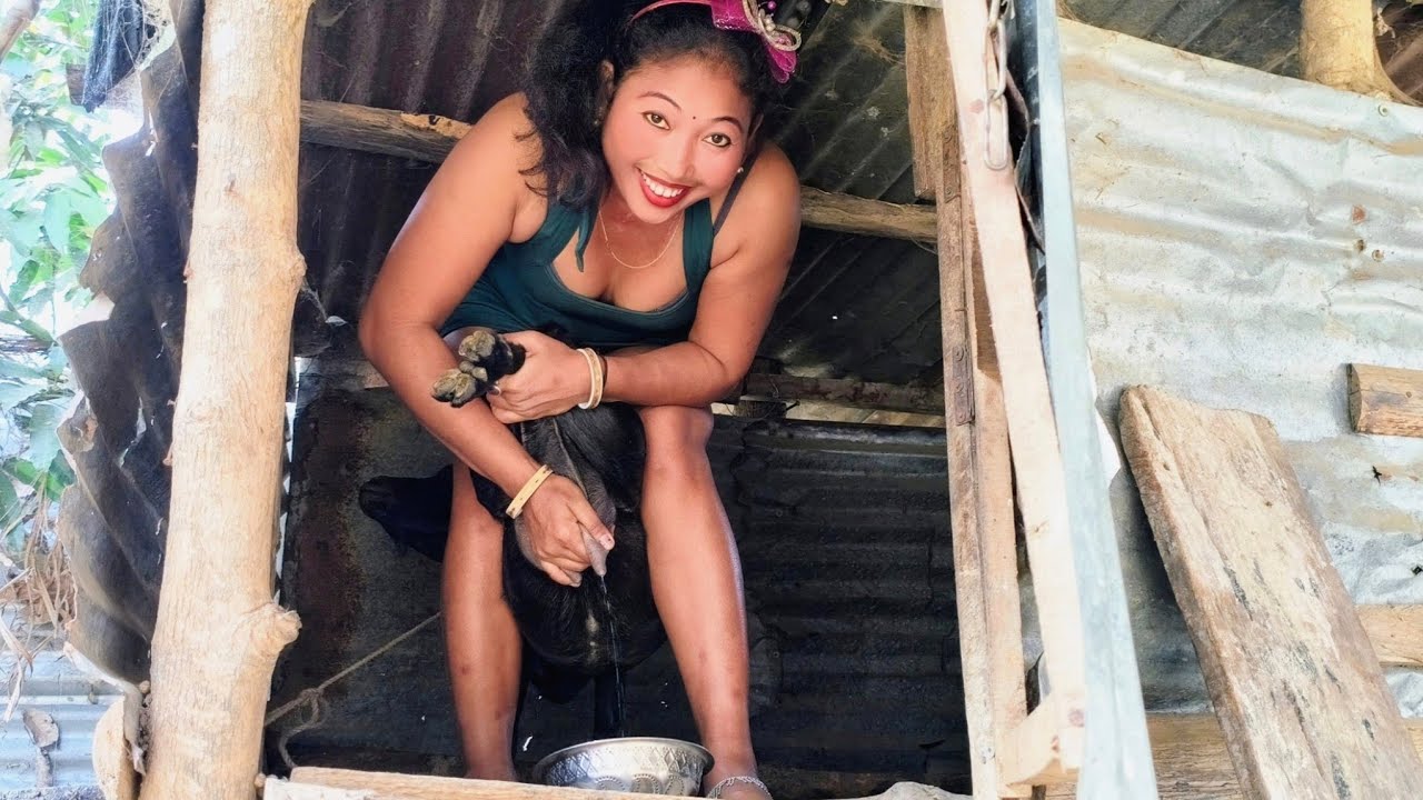 goat milking by hand😍| आज का मिकिंग अलग स्टाइल ❤️