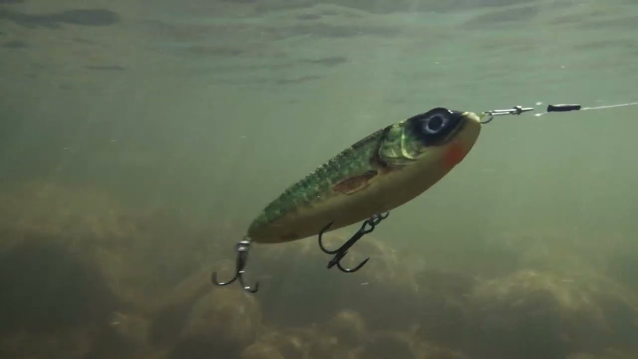 Abu Garcia / Svartzonker McTracer Undervattensvideo