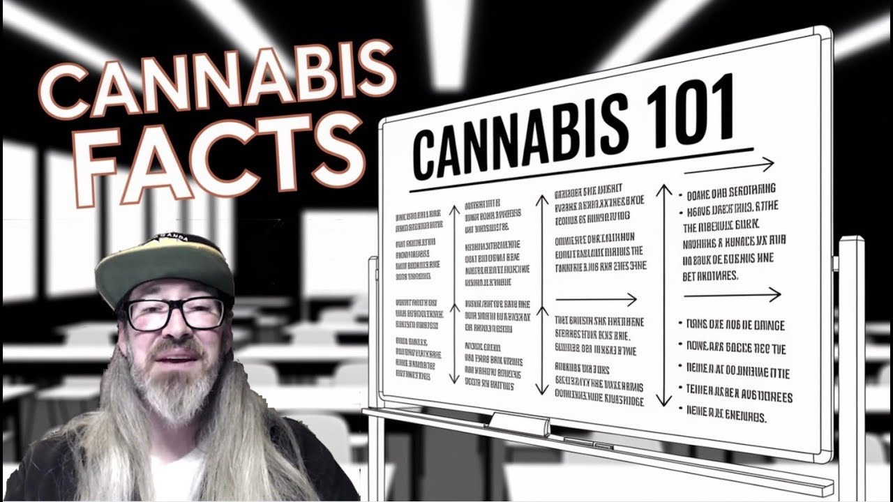 Cannabis 101 - What EVERYONE Should Know! w/ Chad Westport