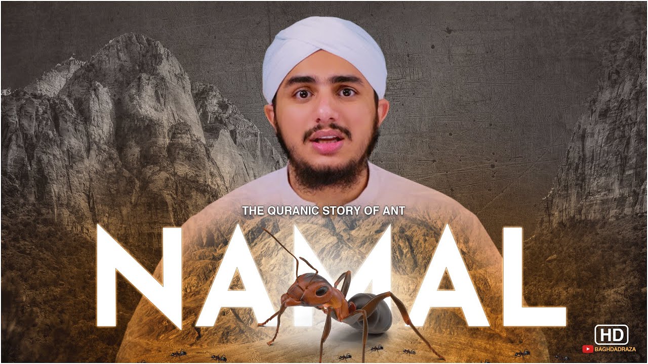 The Quranic Story of Ant | BaghdaRaza