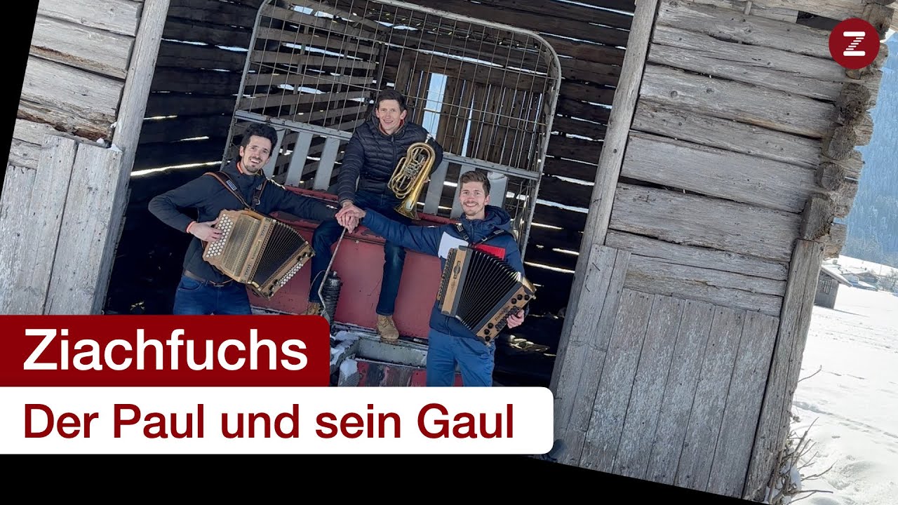 Der Paul und sein Gaul - Steirische Harmonika