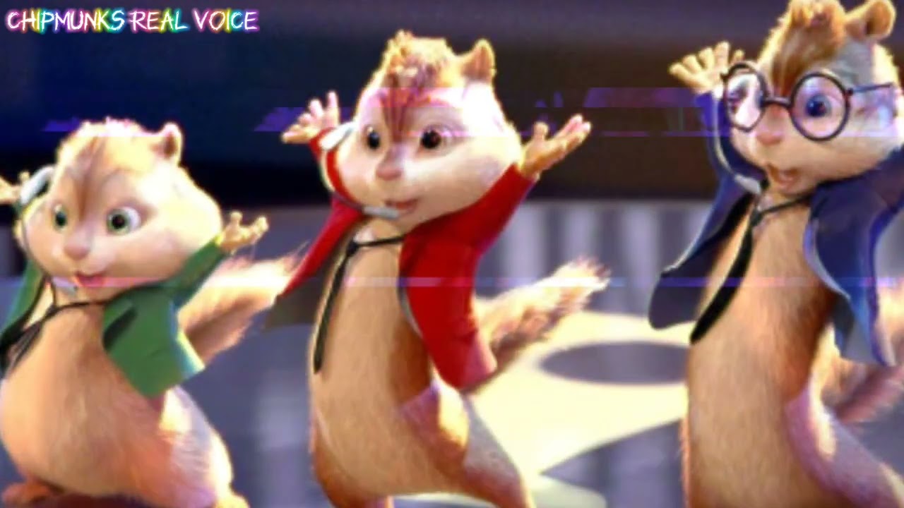 Panic! At The Disco - House of Memories ( Chipmunks version )
