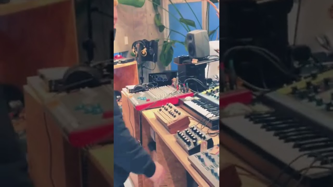 OTAIRECORD LEBENでMOOG大量入荷