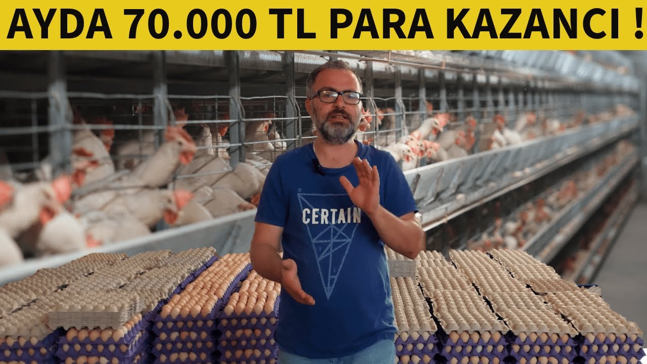 1000 TAVUK İLE ÇADIR KÜMES KURMAK | SIFIRDAN TAVUK ÇİFTLİĞİ KURMAK