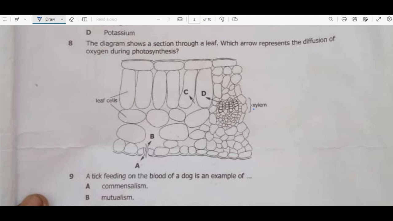 Biology paper 1 2023 GCE
