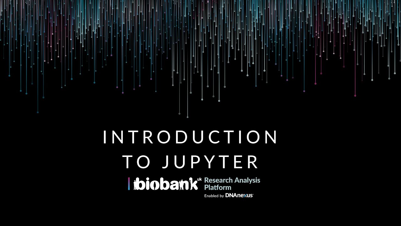 Introduction to Jupyter Notebooks on UKB-RAP