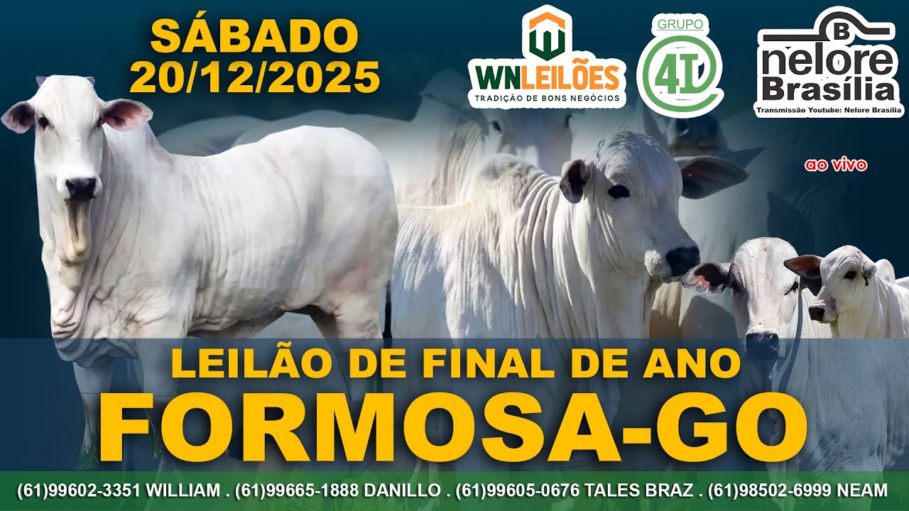 Leilão de Final de Ano, Formosa-GO, 20/12, (61)996023351 (61)996651888 (61)996050676 (61)985026999