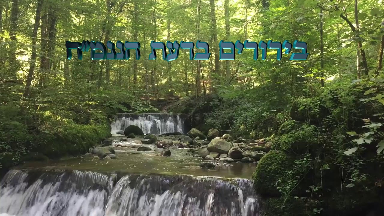 צא כבר מהקונכיה שלך - הרב אברהם פלג
