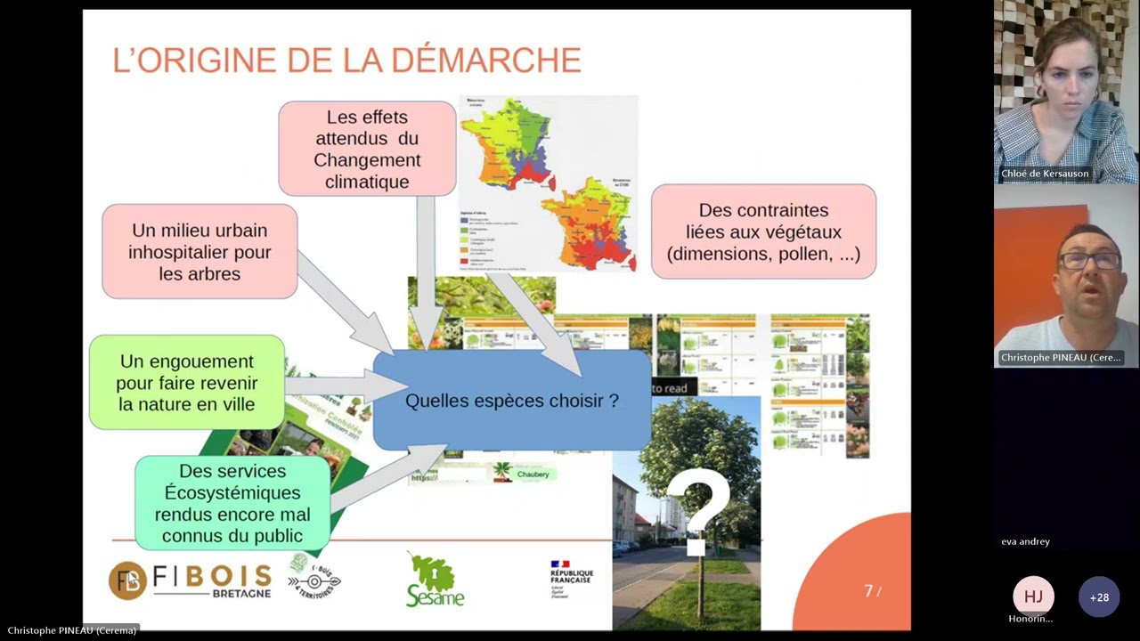 WEBINAIRE : Le bon arbre au bon endroit, présentation de l'outils Sésame du CEREMA | 23.11.2023