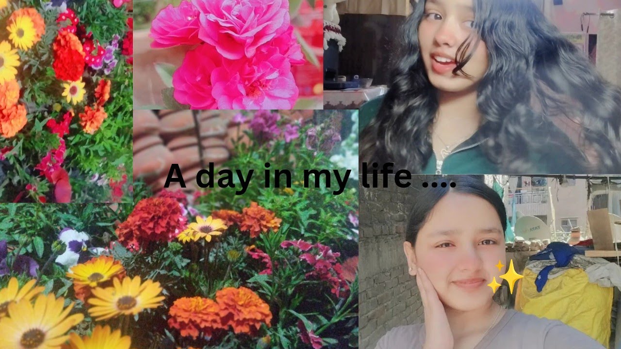 A perfect day with my flowers 🌺🌹...and exam tension 🙄🤚