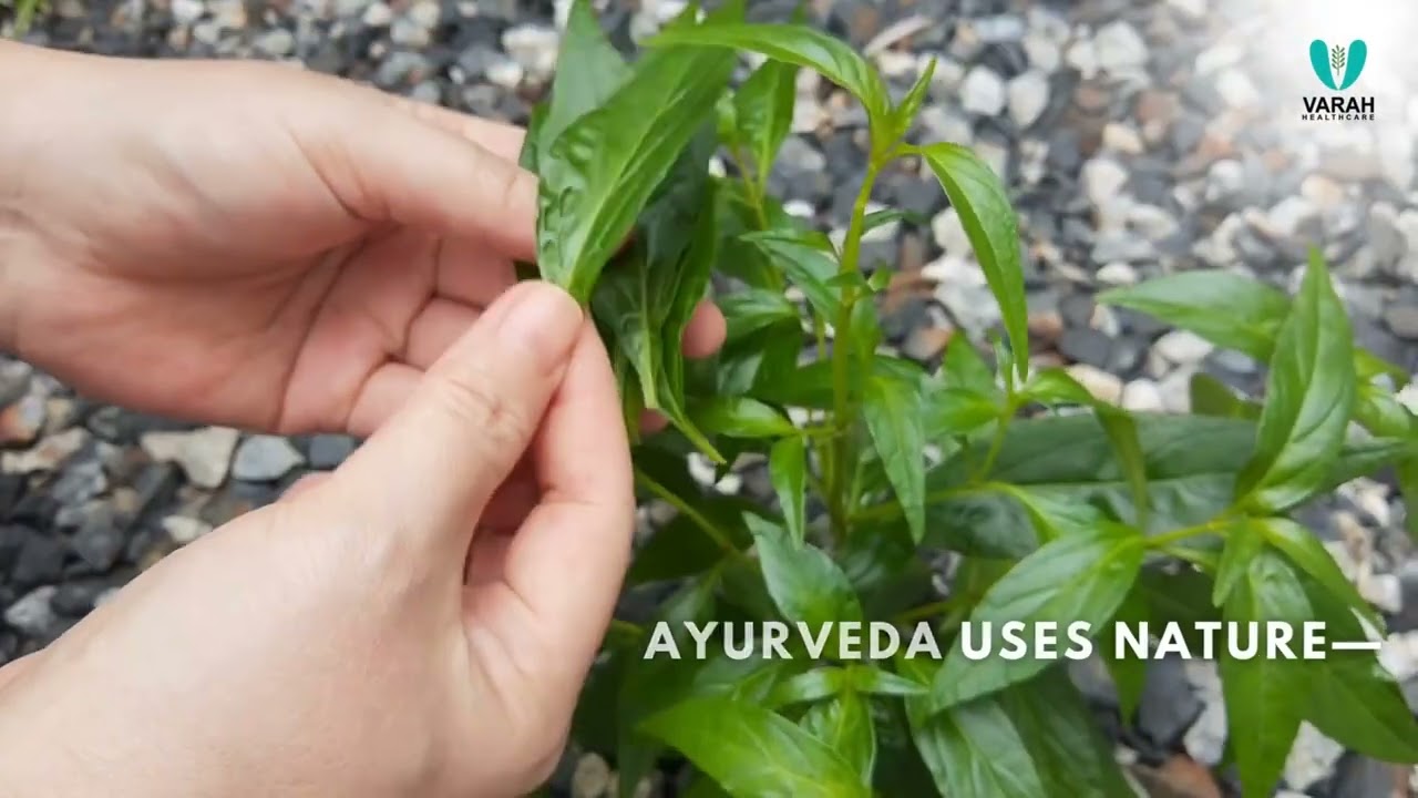 🌿 World Environment Day Special with Varah Healthcare! 🌍