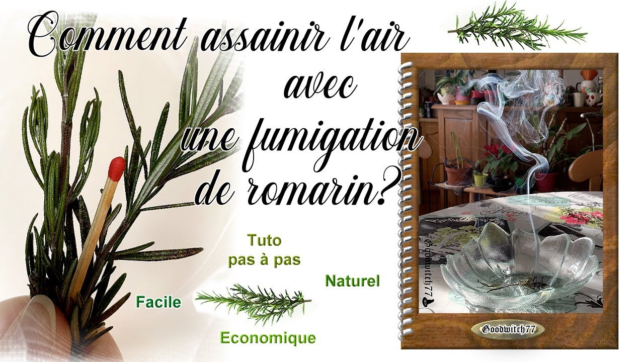 Comment assainir l'air naturellement avec une fumigation de romarin?