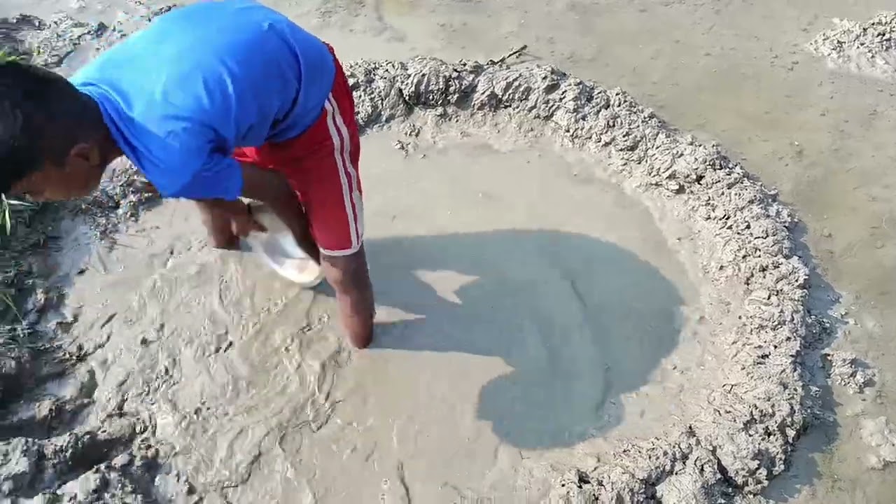 বিলের পানি সেচে শিং মাছ ও কৈ মাছ শিকার। Amazing village fishing video#viral#fishing#fishingvideo