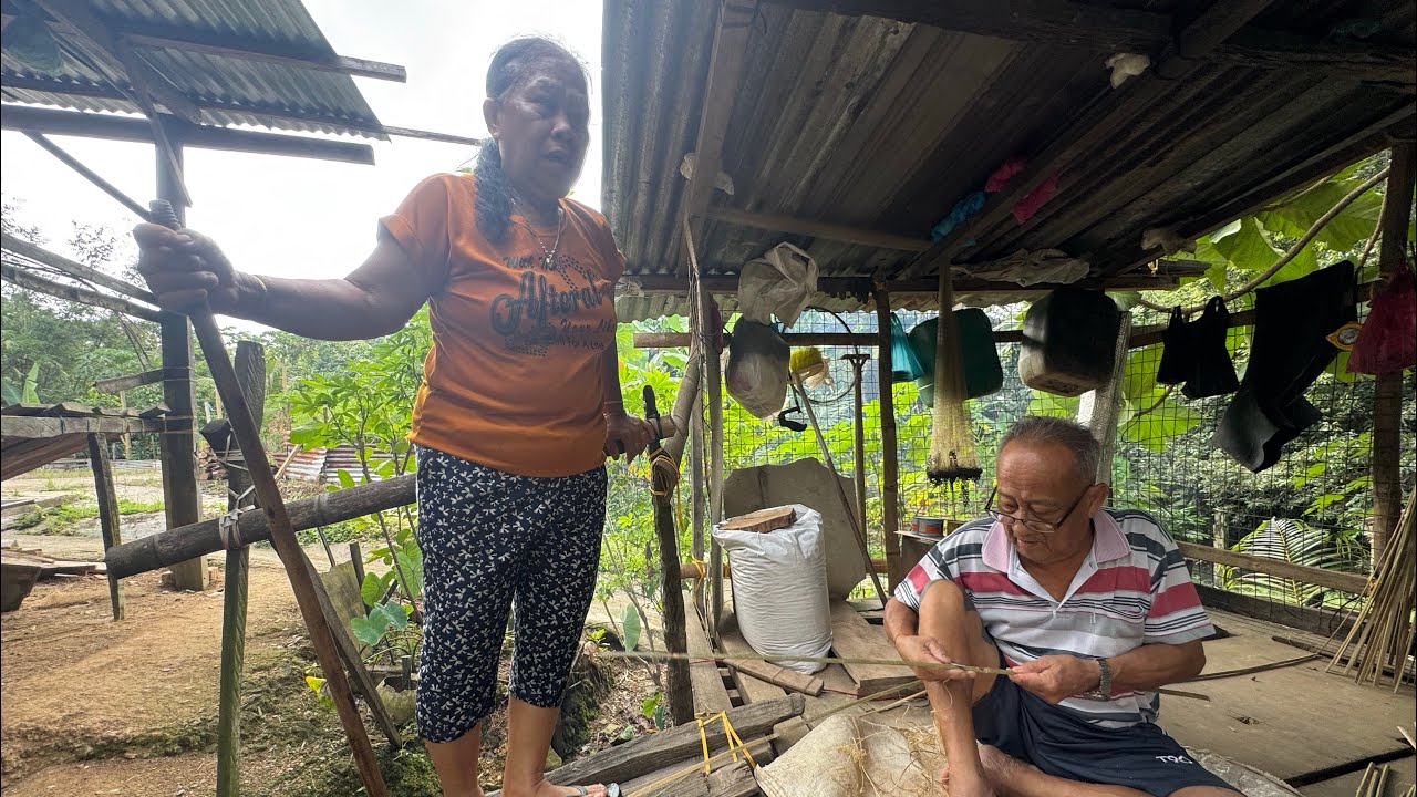  BUJANG SIGAT UNGKIT SEJARAH LAMA  // PASANG KELAMBU DI KEBUN SAYUR KUMANG JAWAI // 