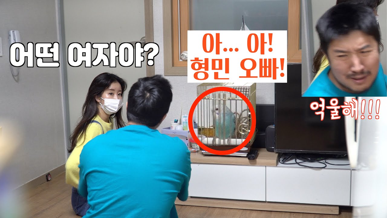 (ENG/몰카) 앵무새가 여자친구한테 다른 여자와의 사생활을 폭로한다면?ㅋㅋㅋㅋㅋ