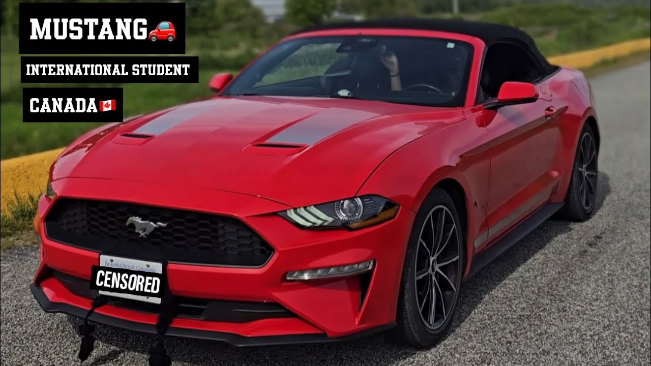 BUYING MUSTANG🚗 🐎AS AN INTERNATIONAL STUDENT👨&zwj;🎓 | CANADA🇨🇦 | VLOG