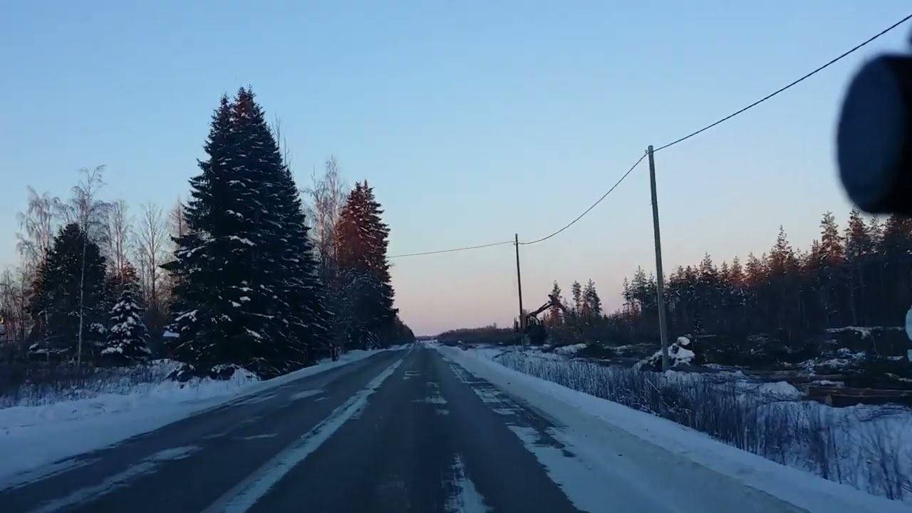 Kuusiaitaa kaadetaan ---- Tane